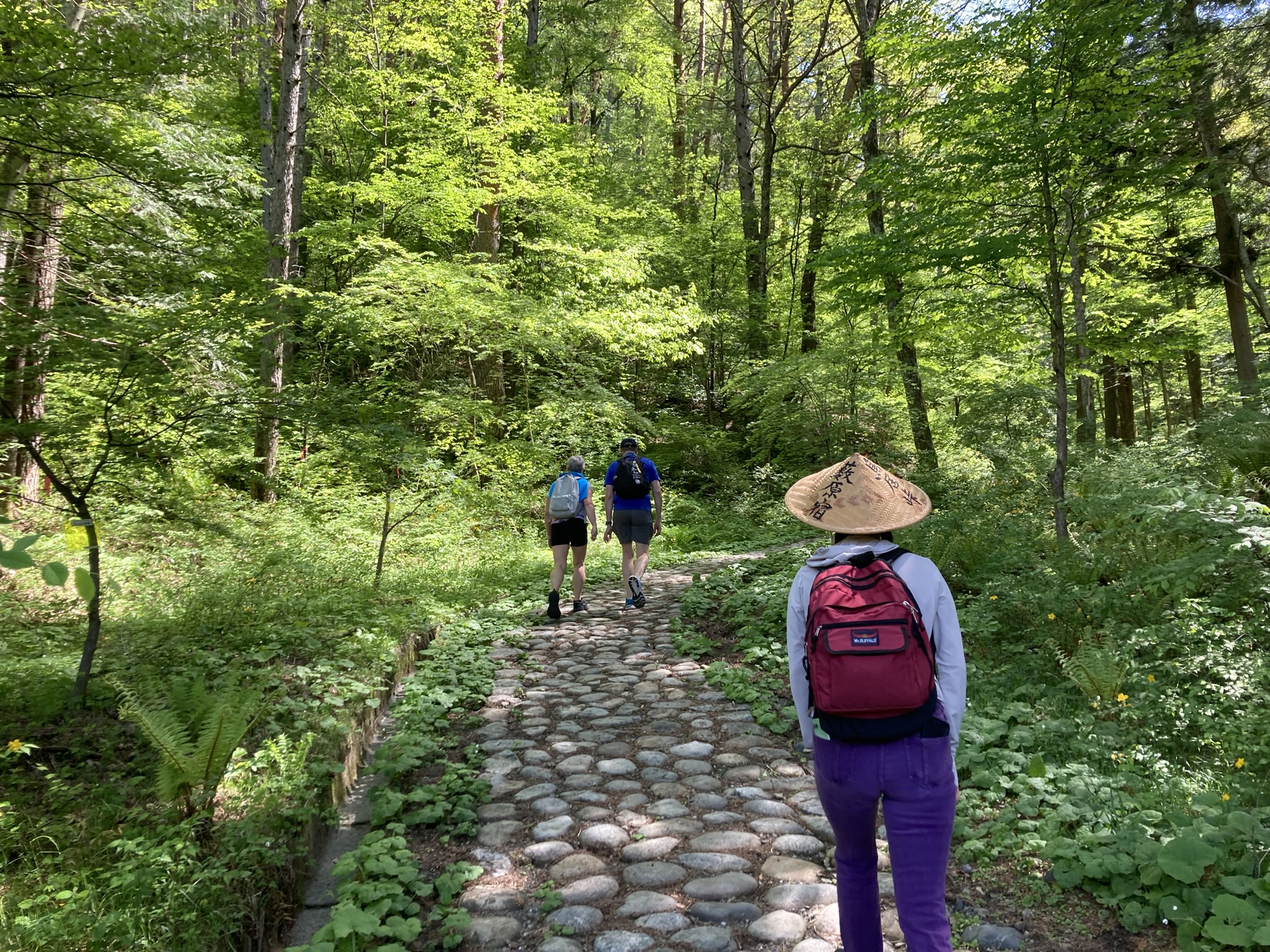 Nakasendo walking